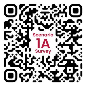 Scenario 1A Survey
